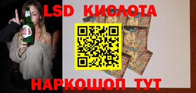 гидропоника Сланцы