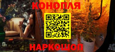 гидропоника Сланцы