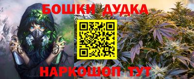 гидропоника Сланцы