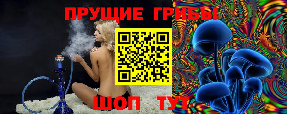 Павловский Посад  Псилоцибиновые грибы ЛСД  Псилоцибиновые грибы мухоморы  Вход с VPN 